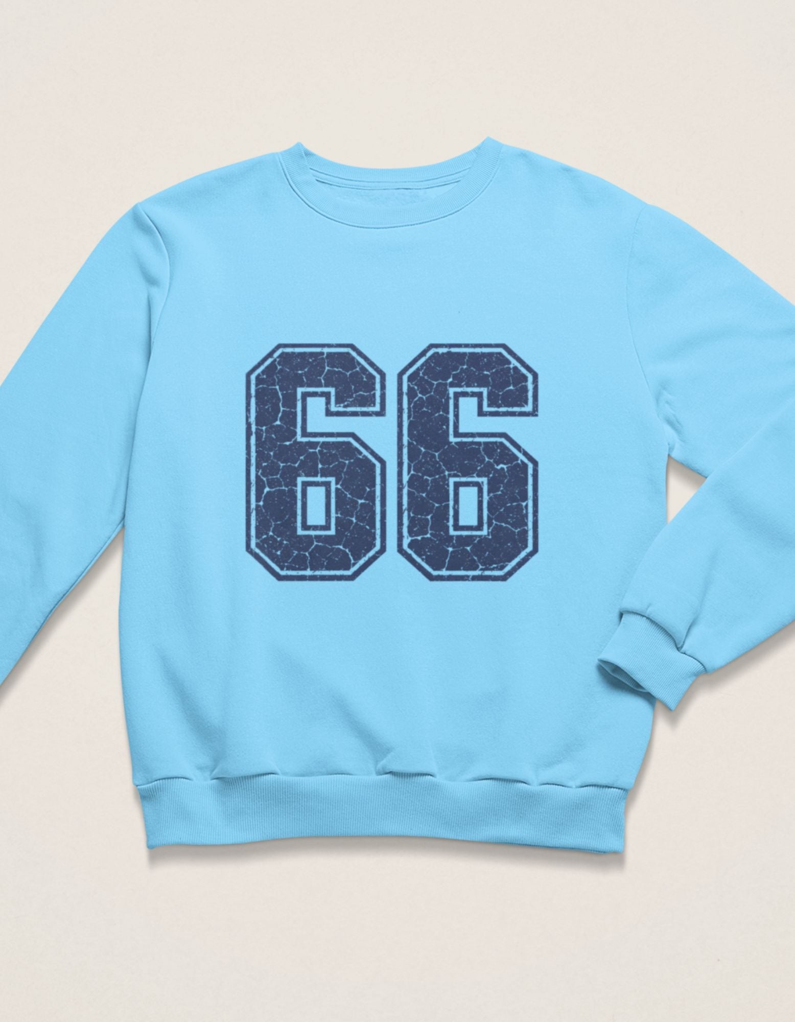 Unisex 66 Sweatshirt