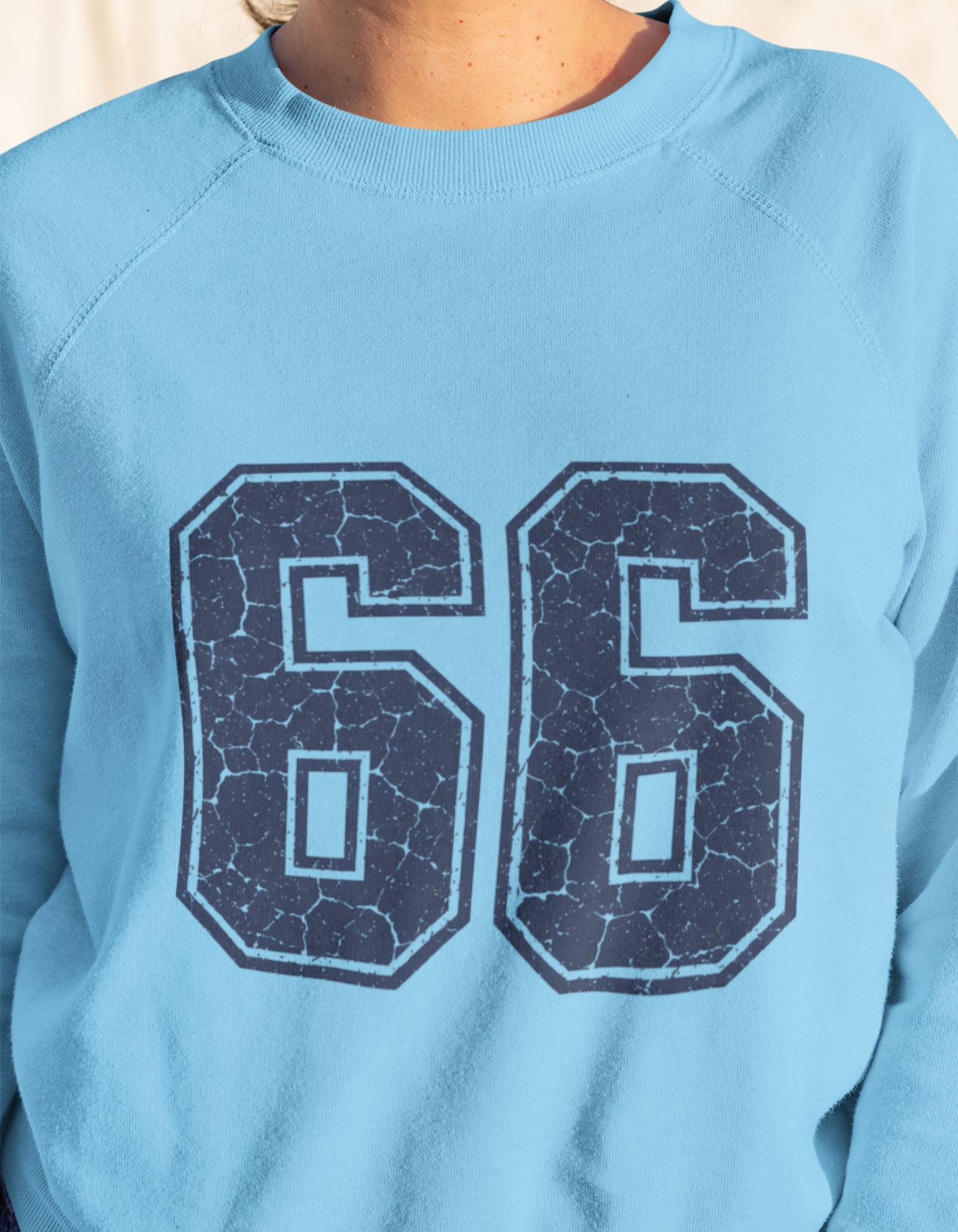 Unisex 66 Sweatshirt